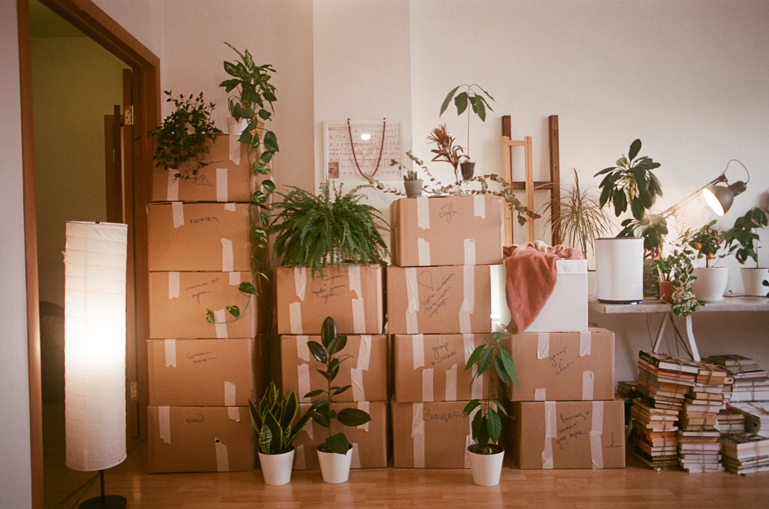 Mustafa K. Paşa'da taşınmanın en kolay yolu